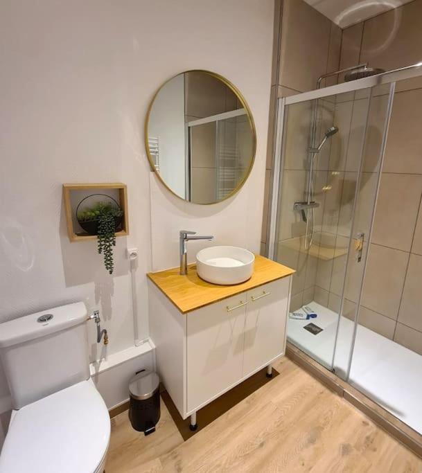 Joli En Centre-ville Apartment Chalon-sur-Saone